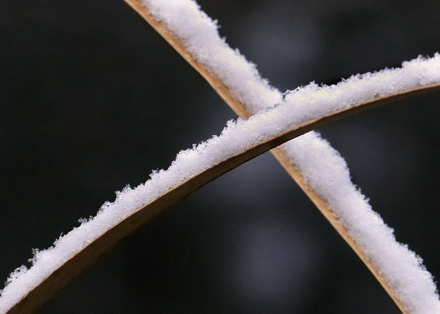 snow cross